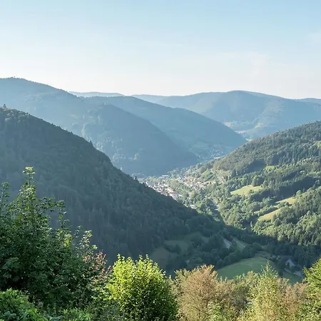 Apartman Appealing In Todtnau Baden-wurttemberg With Free Wifi