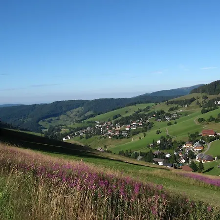 Appealing In Todtnau Baden-wurttemberg With Free Wifi Apartman