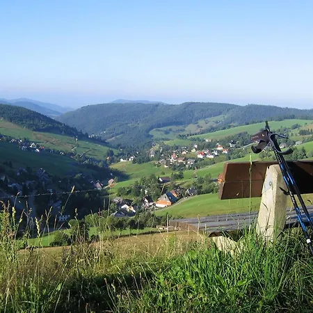Apartman Appealing In Todtnau Baden-wurttemberg With Free Wifi *